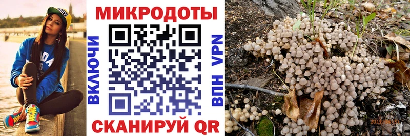 Галлюциногенные грибы Cubensis  Слободской 